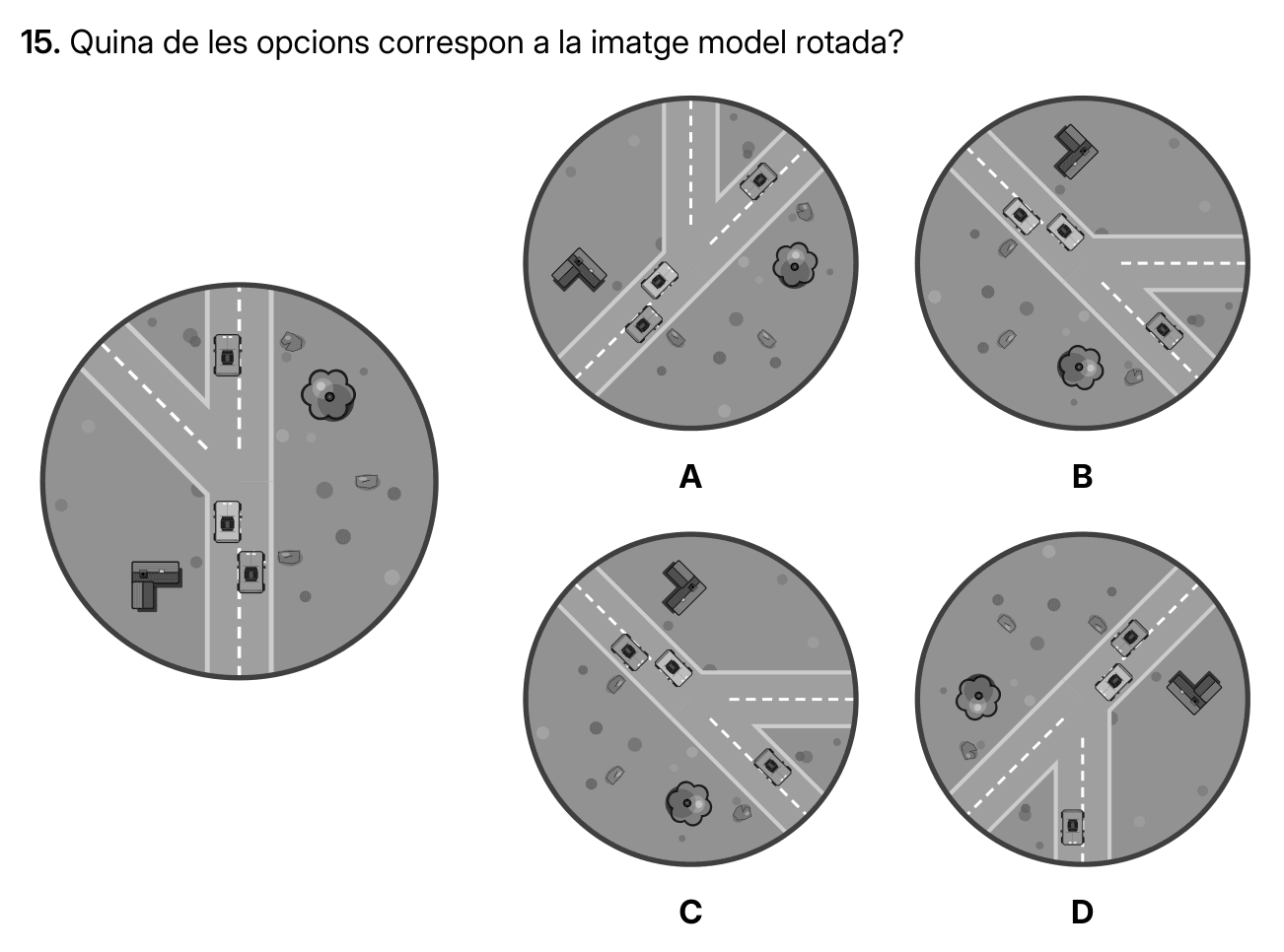 Ejercicio del libro: una imagen modelo y cuatro versiones giradas entre las que hay que identificar la correcta.
